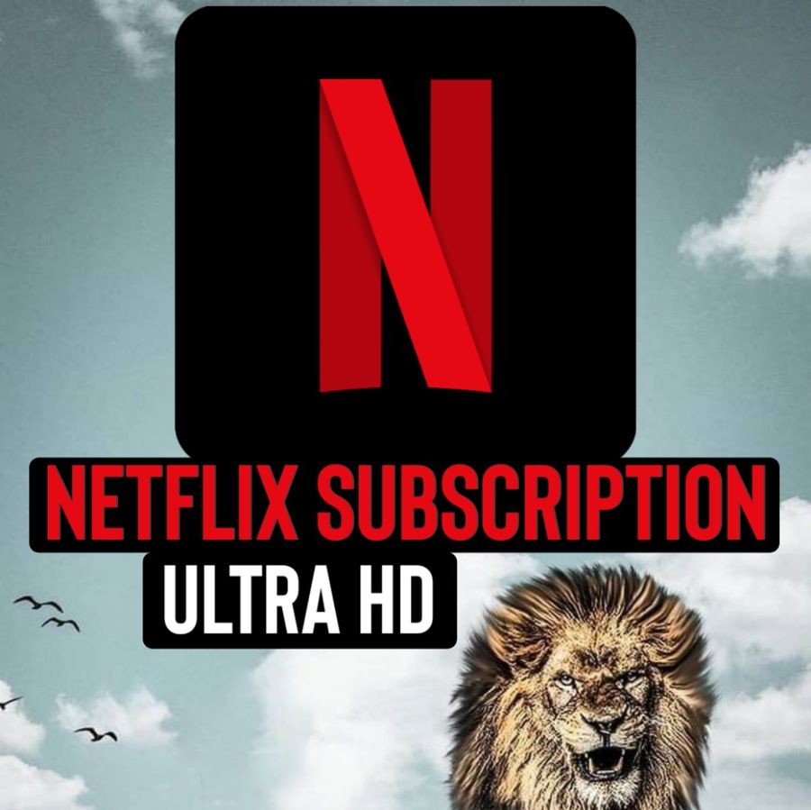 Netflix Subscription 28 days